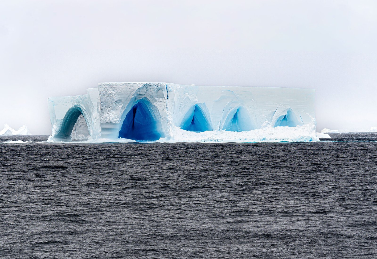 Blue ice caves carved into a tabular Antarctic iceberg floating in dark water